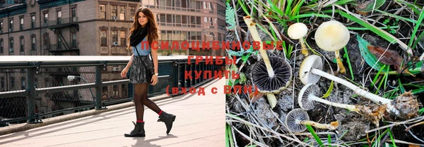 соль курить ск Наволоки