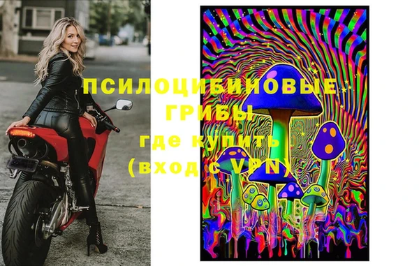 мдма Елизово