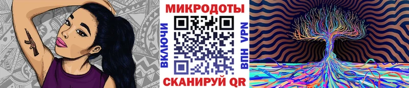 OMG   наркотики  Первомайск  Псилоцибиновые грибы прущие грибы 